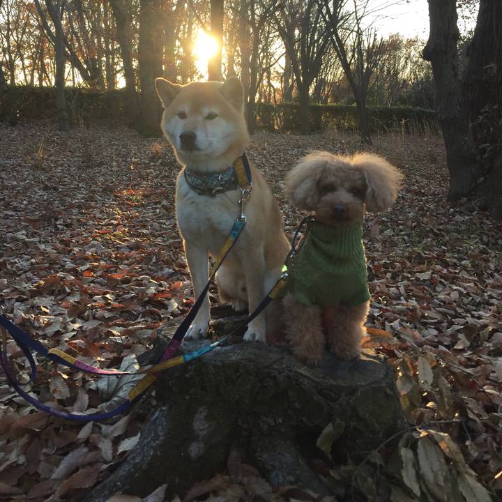 2e147bc9 3799 4d37 bf81 ea6e4d5b8233 1512810435814