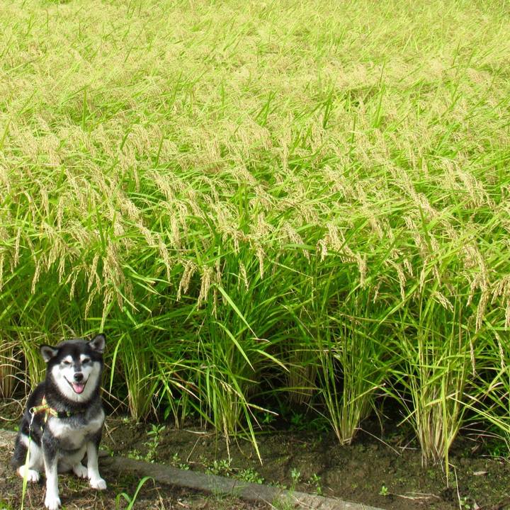 2e14b09b 479e 4938 bb67 6a0df59800ee 1631333451934