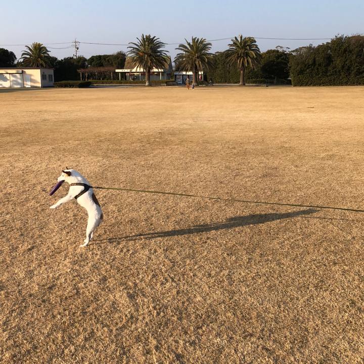 2e14bd8d da50 4894 875e cf8312ac71f5 1516434297872