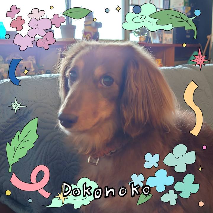 2e14d458 e141 4595 a053 3cca27acc2b3 1717642933234