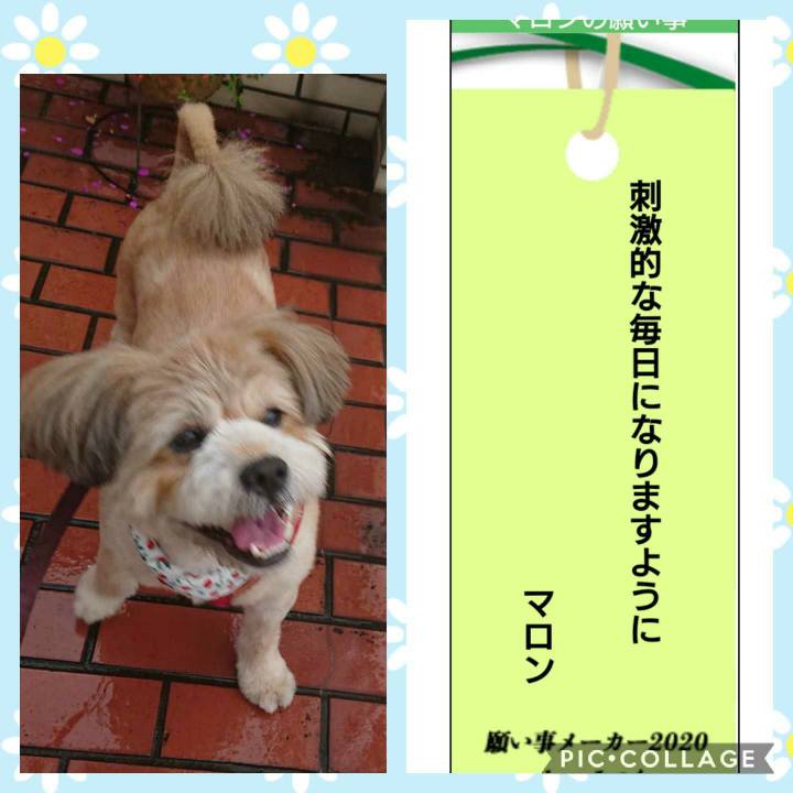 2e14d5fb f9af 42de aae6 43279dd03d04 1594075570565