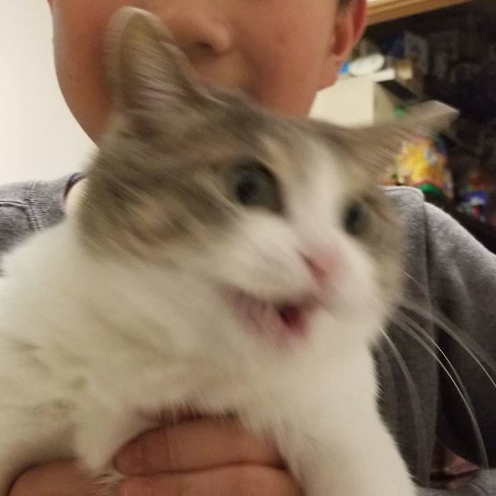 2e14e7f2 02b0 4777 8242 84b4c33ac137 1512030833767