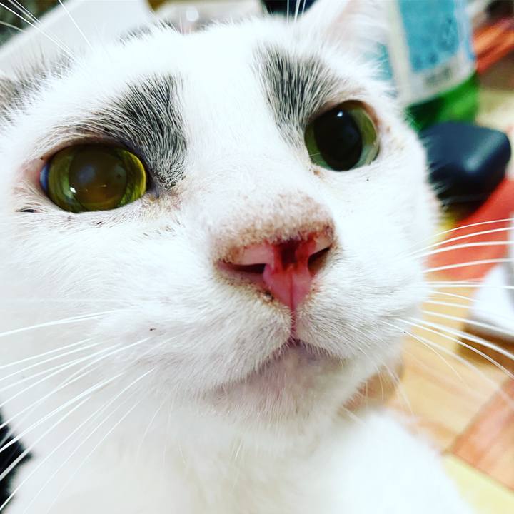 2e14fc45 d2c1 44d4 b13d d64f228f06e6 1609868254884