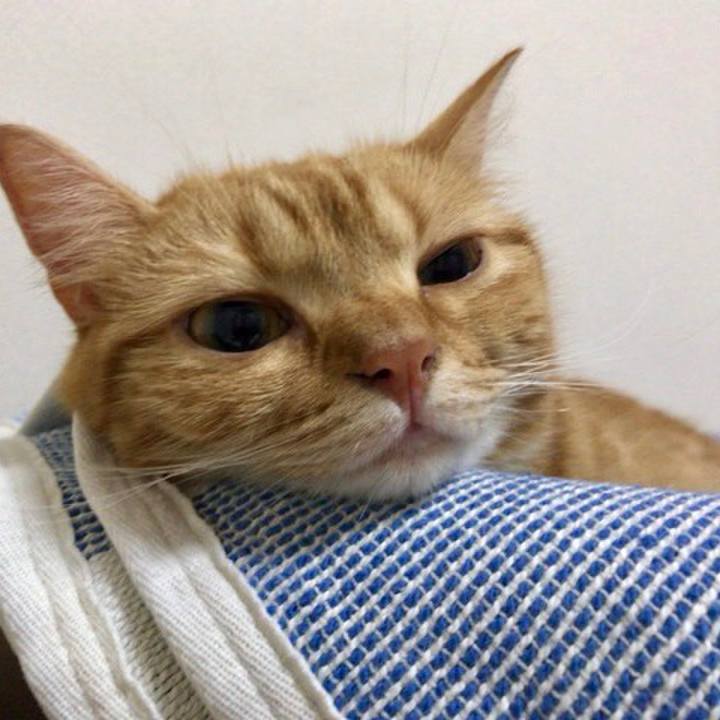 2e15171f 7aad 40e6 b1f9 95d372e0865d 1532518475914