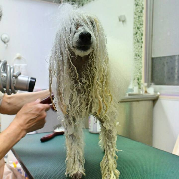 2e1529d5 06fc 4b9b a461 d6d09edae81c 1521033158528