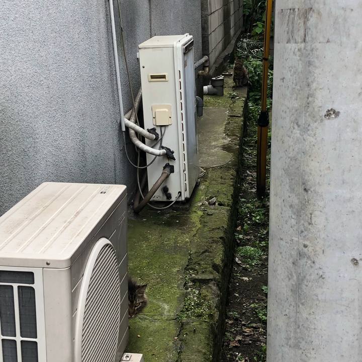 2e152dd3 6ebb 45e6 a761 12a3a64e3884 1528978141648