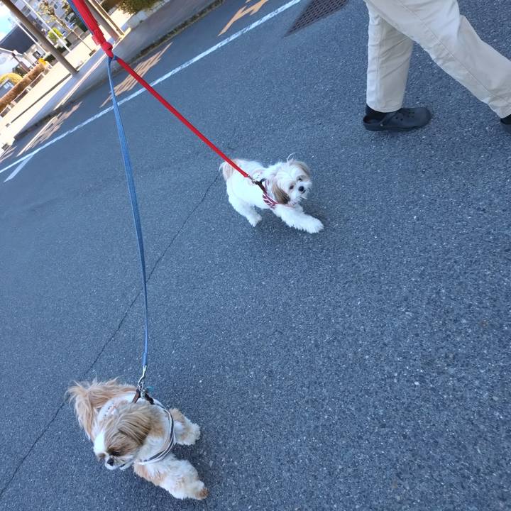 2e153963 8ac7 4c29 aa66 5445da07ccf7 1767237326727