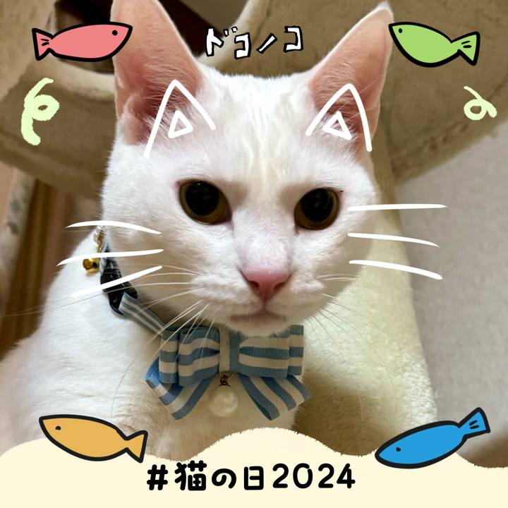 2e154642 7672 4f20 abe7 a5f74e699087 1708530831995