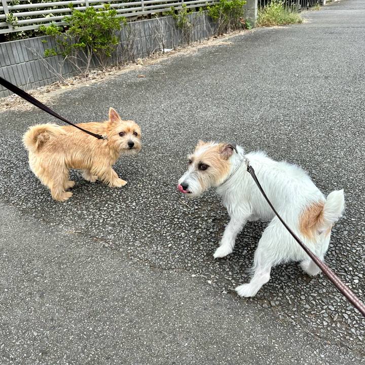 2e15bed1 6b8c 4095 b5f8 a89f6fa9719d 1727619429751