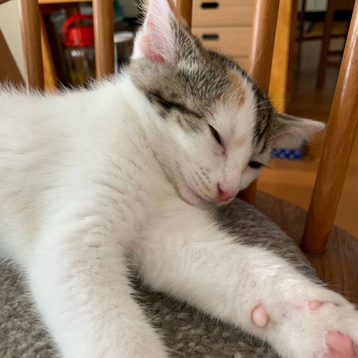 2e15cf5c 7c41 4d3f bde7 de777ec5d6e4 1592888126563