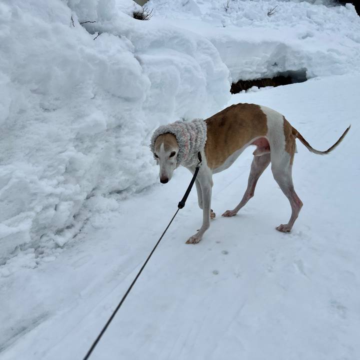 2e15dff0 84d9 4964 9821 360ba005c595 1770192657551