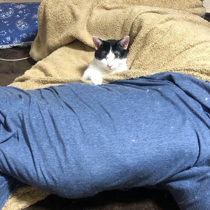 2e162d24 6ea1 49ce 94f2 52352ed7f62c 1588245135008