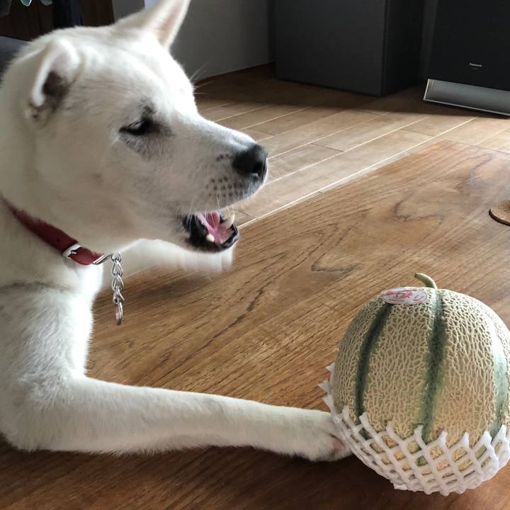 2e1639b7 fa7d 422f 8e96 1d820c44dbff 1527156526743