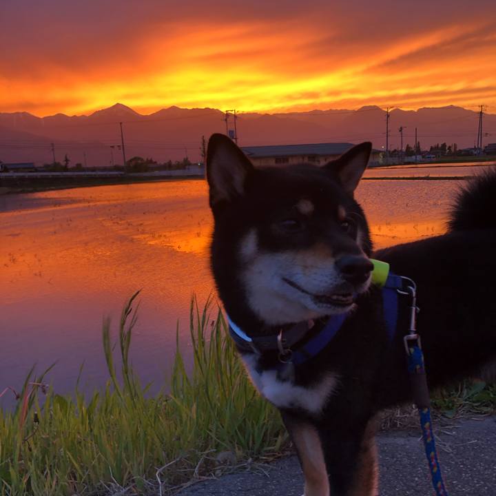 2e163a03 f522 4b5a a8a6 ecae49d1eeb2 1620475735539