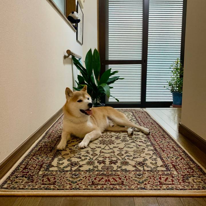 2e16441c 9930 403a 855c a2a8e9b9bef7 1687939506205