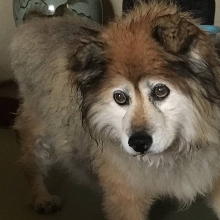 2e167176 95fd 4101 8d94 f713356c069d 1655287473062