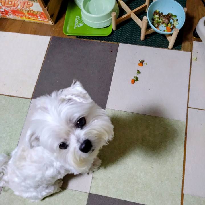 2e16e9b8 c1ee 438e 8976 562eac8a2e63 1696514147739