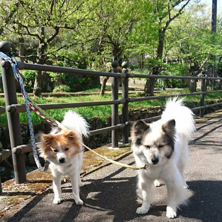 2e16fc45 4ce3 4591 80f4 bdba3b0d7128 1523193410874