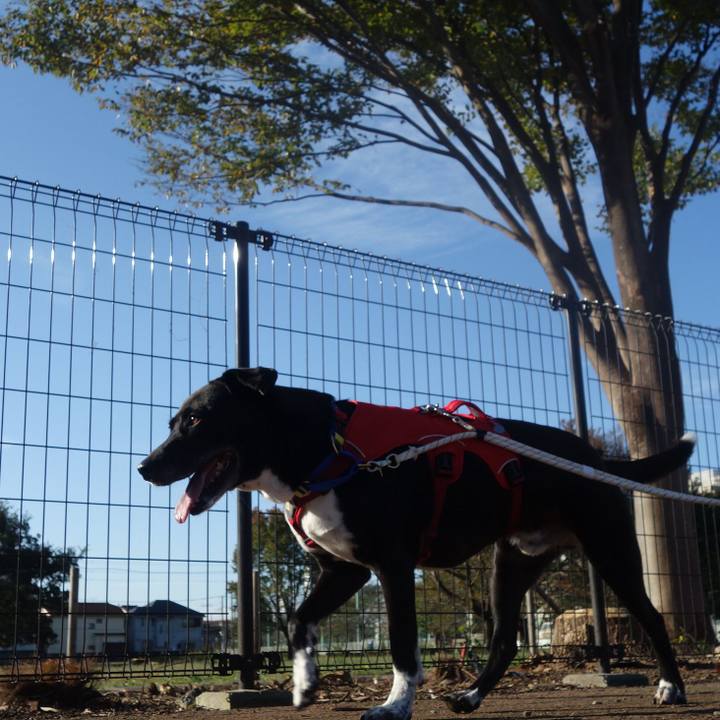 2e170546 732c 4bb1 9346 a9fab6a04723 1666831296293