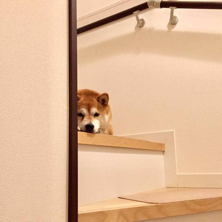 2e17d523 b7aa 416b a47f 514bbc63a6cd 1583447327855