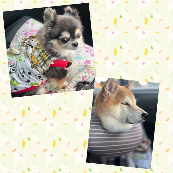 2e17df60 2a60 468c 8d1c 023fc3afa8f5 1700723059940