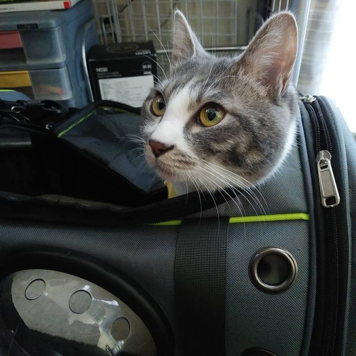 2e17f63f 0f2d 44ae 9145 30c8c2c3628a 1585208017917