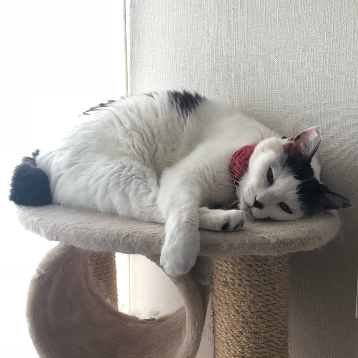 2e1809bd cabf 4173 be22 29b96918425d 1529626275887