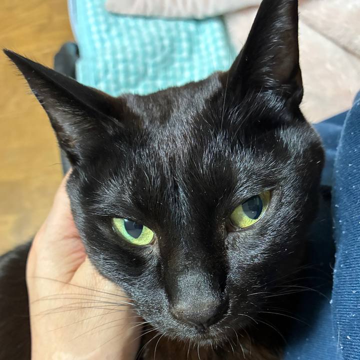 2e1865ce 5805 4b11 a238 2dc609df671e 1744206131213