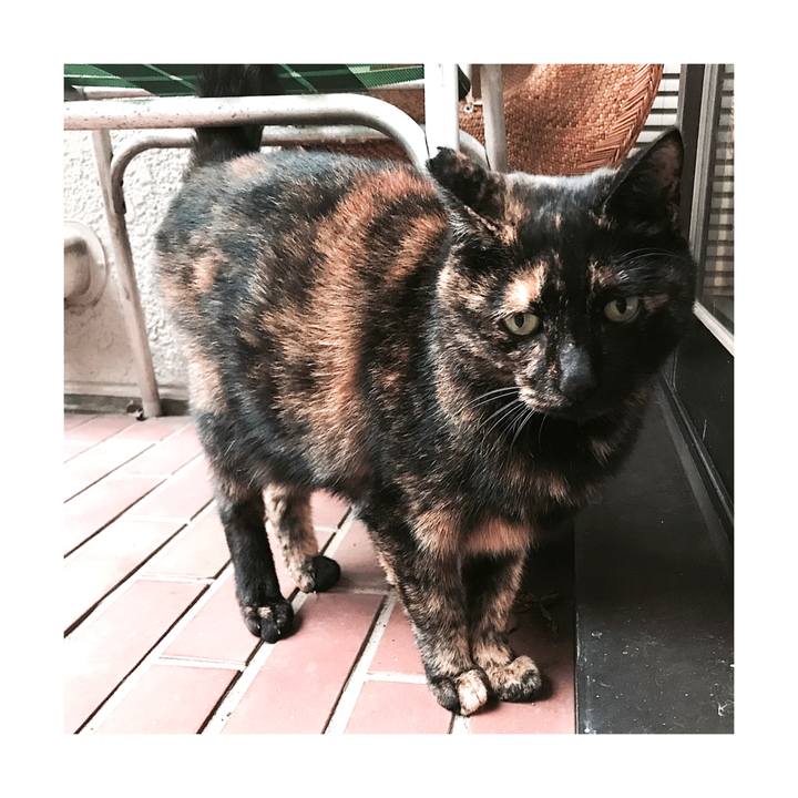 2e18702d 473a 464f b010 06d140815d22 1666675492667