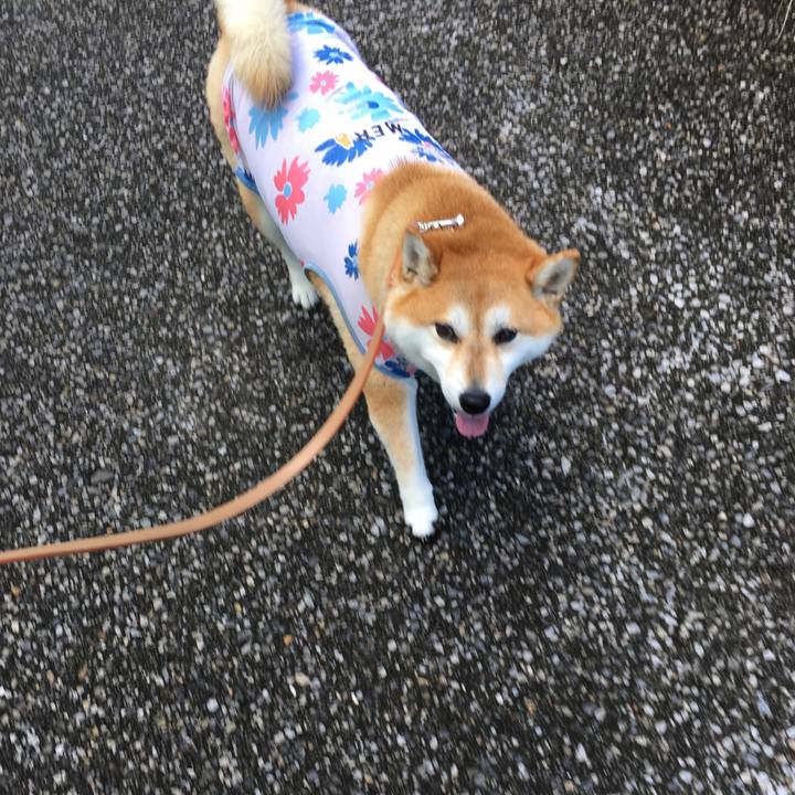 2e18bdf9 6b34 46b3 8342 8b7c92a35948 1570155993012