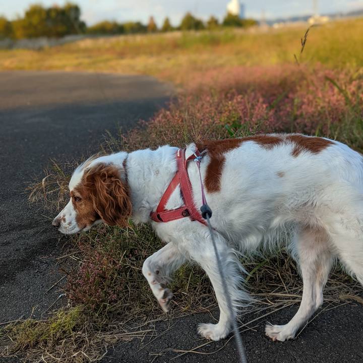 2e18cada 2be4 4986 ae54 4371d132c431 1635678987628