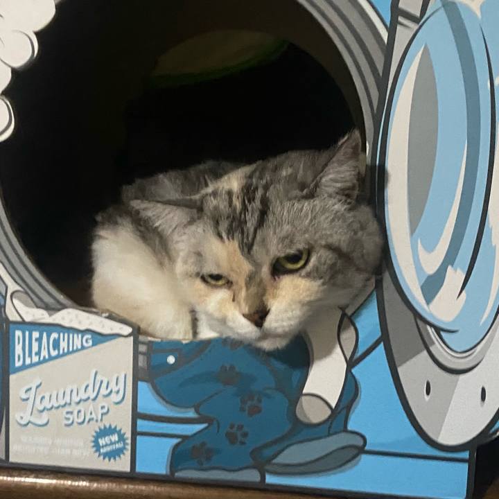 2e18f84b c918 4f65 8590 4d6d5f0892eb 1752419289032