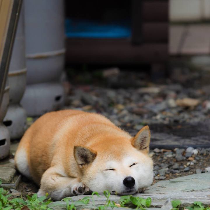 2e19093a ff86 4478 bb9e d1cea6e8cfac 1535634912247