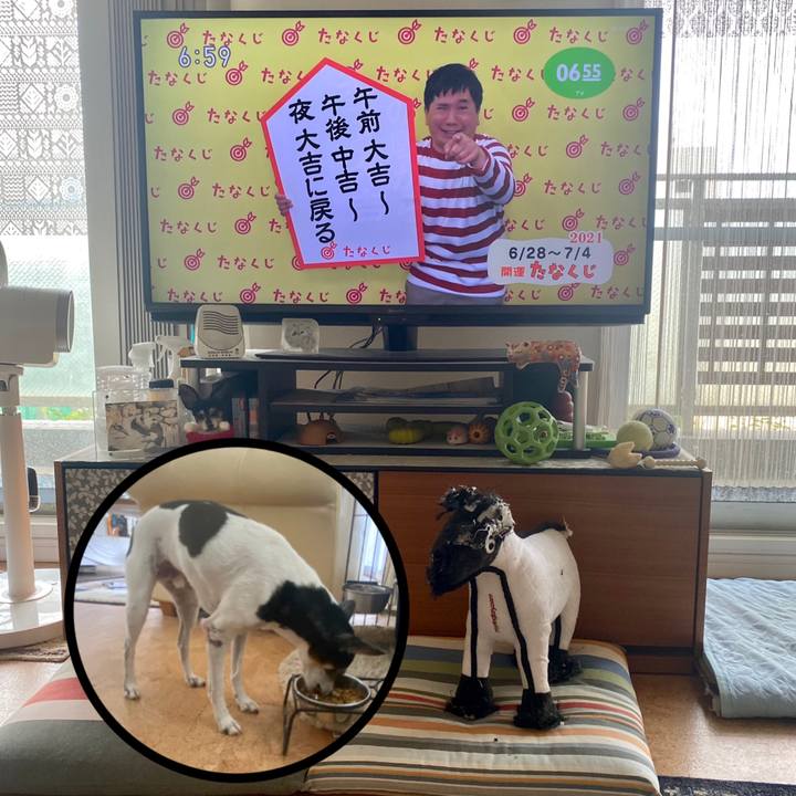 2e190a3a 4e7c 41a1 9b0c e6ee13757c7c 1624831879125