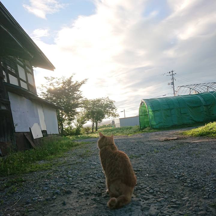 2e190ba5 f185 42b1 a7ce 918513dbc4f2 1656623947500