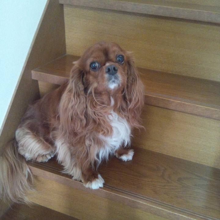 2e190fb2 a457 4d06 a81c 93807cf291e1 1569364334315