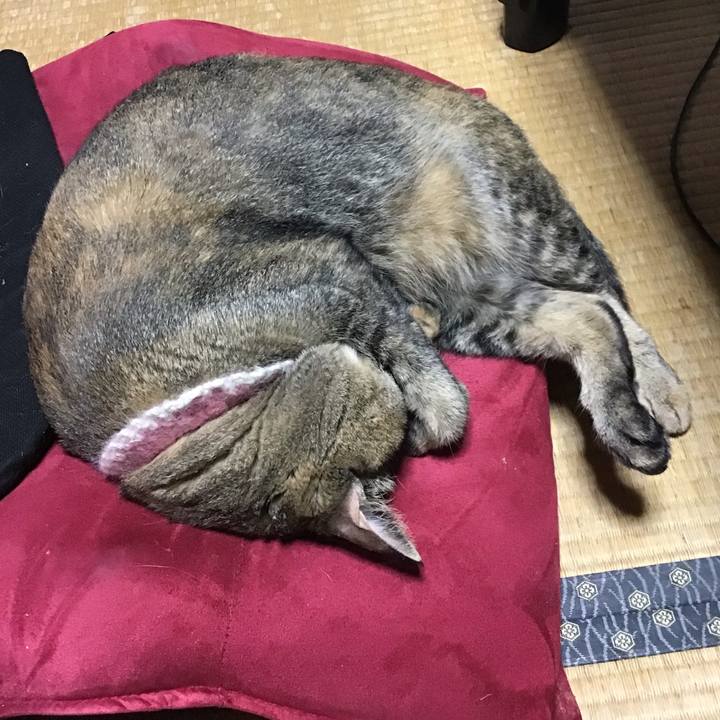 2e192236 8e12 4dd1 af8d b41bc117865d 1657976220006