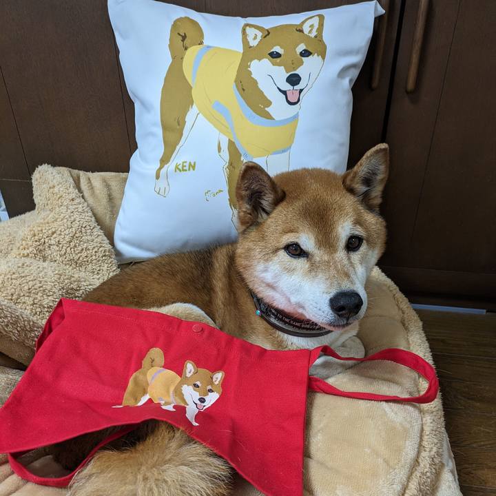 2e1953c3 2ffe 40ea 8d36 0575b7383507 1712106225137