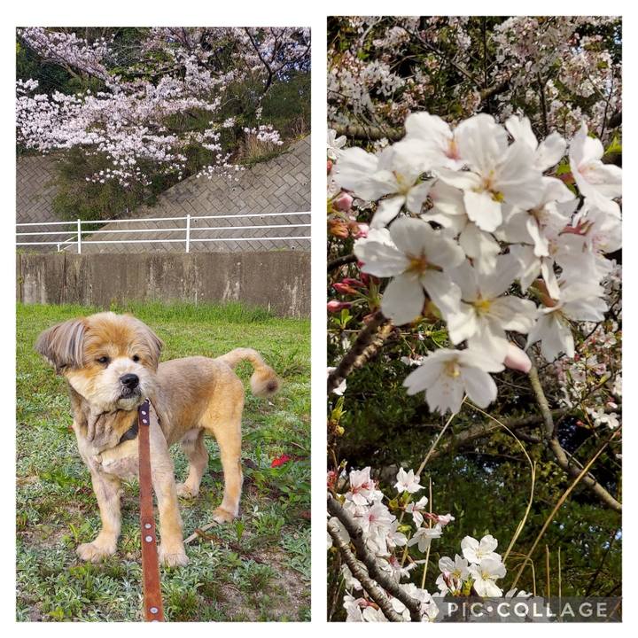 2e19d4ea 4ff5 448a b0b6 f2a1a58d1dd4 1680402138322