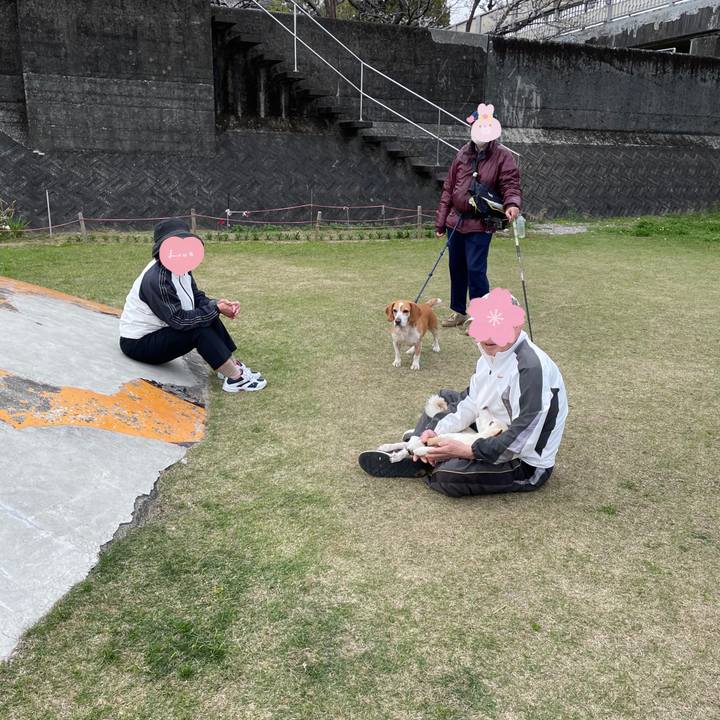 2e19d572 1b12 48ba 9a30 7b6e015ab58c 1680186371851