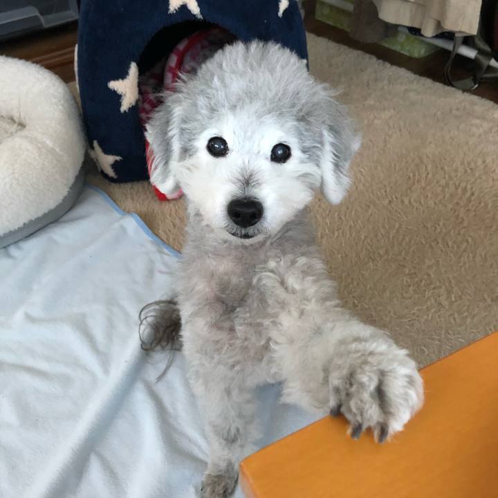 2e19e3e9 7722 4410 976e fb6bf3c95e48 1583711114543