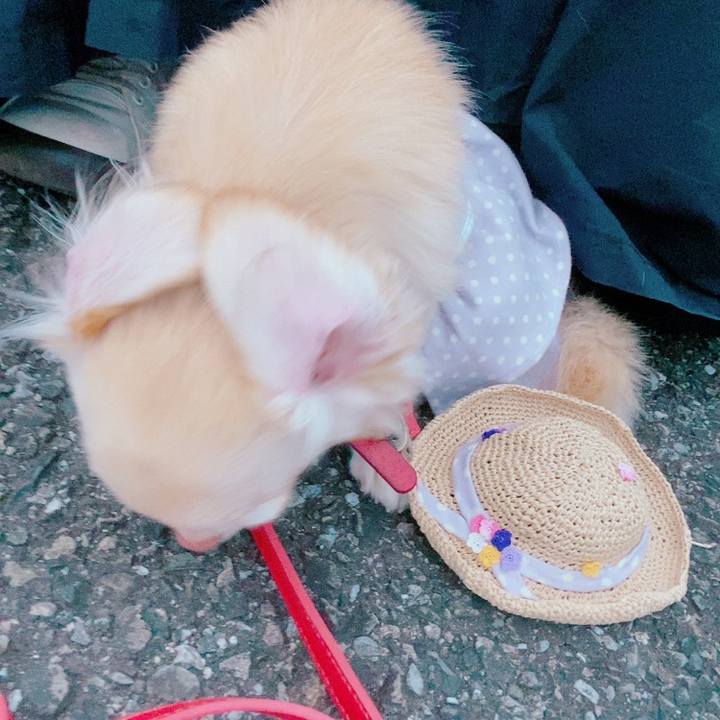 2e19ee41 60dd 4944 918d 7ab66ed7b506 1631451917772