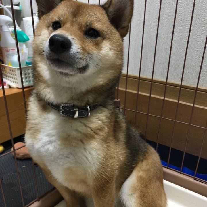 2e1a6216 f6a9 4cd1 ab80 da39dc498e75 1527248986786