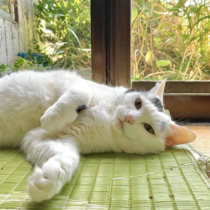 2e1a64b2 69b3 4b3e b2a6 495e67ff3303 1664071644785