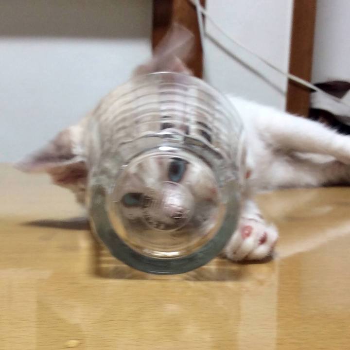 2e1a76e1 f191 4ec8 b5c8 3ae96b6cfe11 1603895384528