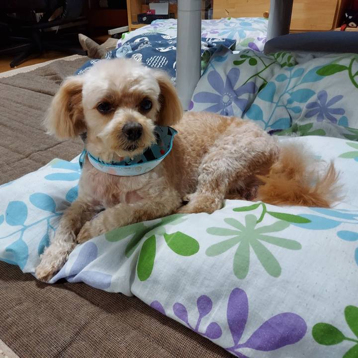 2e1a7962 f65e 446b b06c 91cec4c0c26d 1630269604819