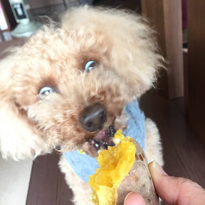 2e1a84fa 7927 416e bde6 a131ebdeea0e 1511320476779