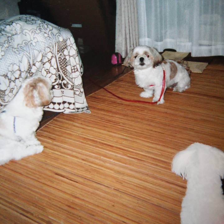 2e1af424 3942 49e0 96aa 0a36e2818dc6 1508383272593