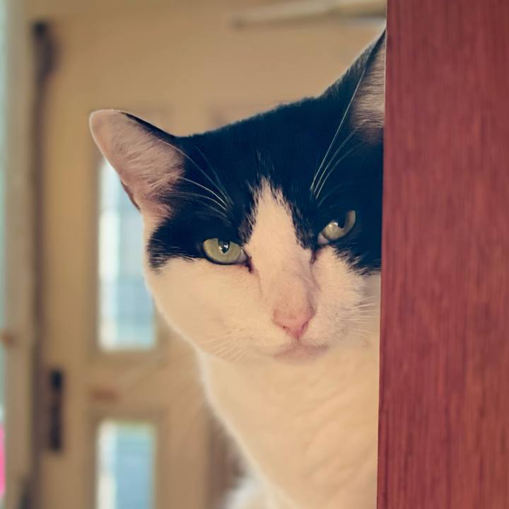 2e1b16e4 70af 42e0 9b1a b1dfde367a4b 1632793574238