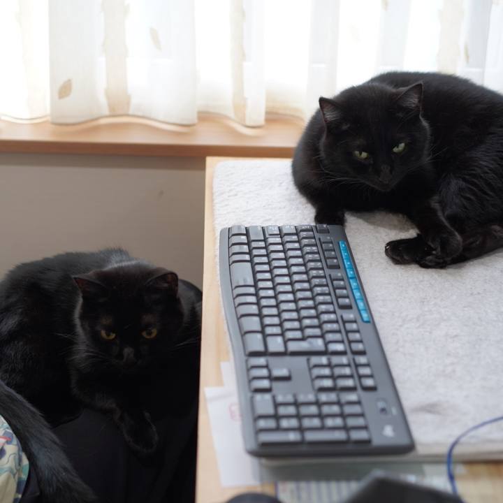 2e1b3111 f780 4dc6 8a1c 100ba4a1f050 1631230054319